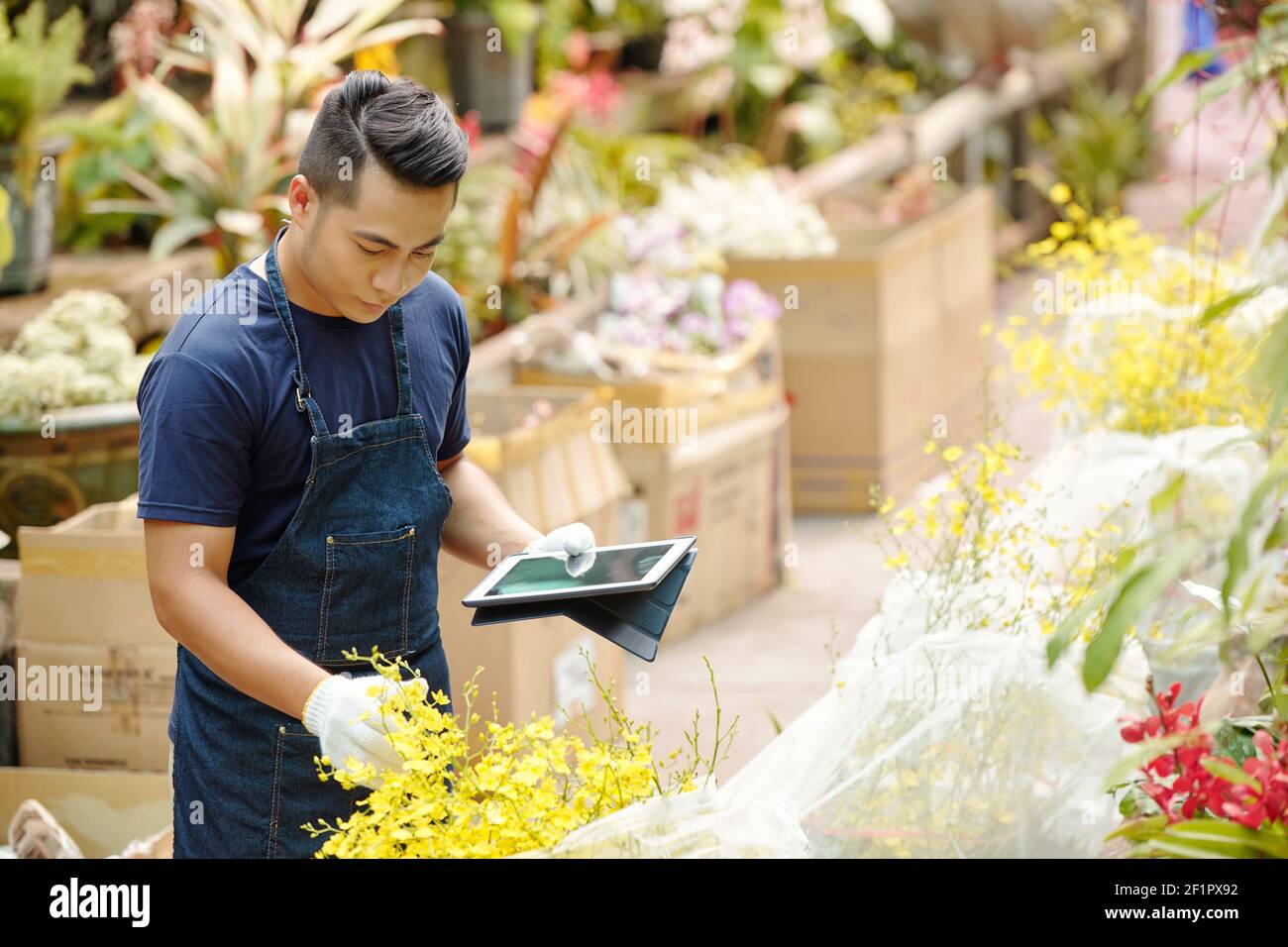 Beau jeune homme asiatique portant des gants lorsqu'il travaille avec des plantes en serre Banque D'Images