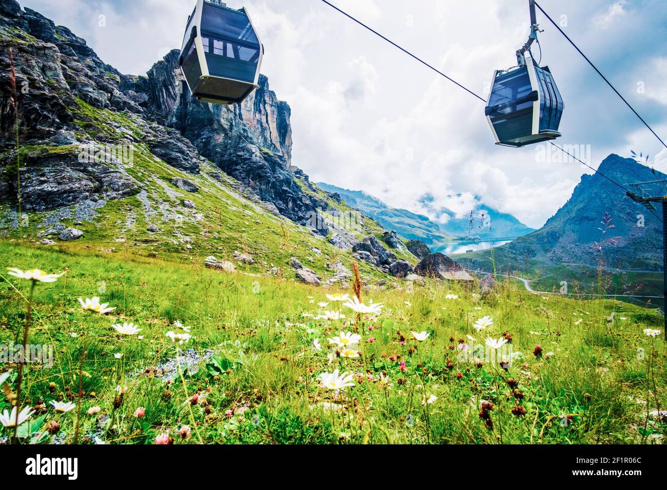 Téléphérique passant au-dessus d'une prairie alpine en pleine floraison Banque D'Images
