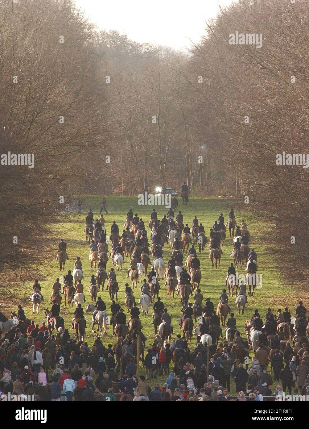 LA CHASSE DE BEAUFORT SE RÉUNIT LE 27/12/04 PILSTON Banque D'Images LA CHASSE DE BEAUFORT SE RÉUNIT LE 27/12/04 PILSTON Banque D'Images