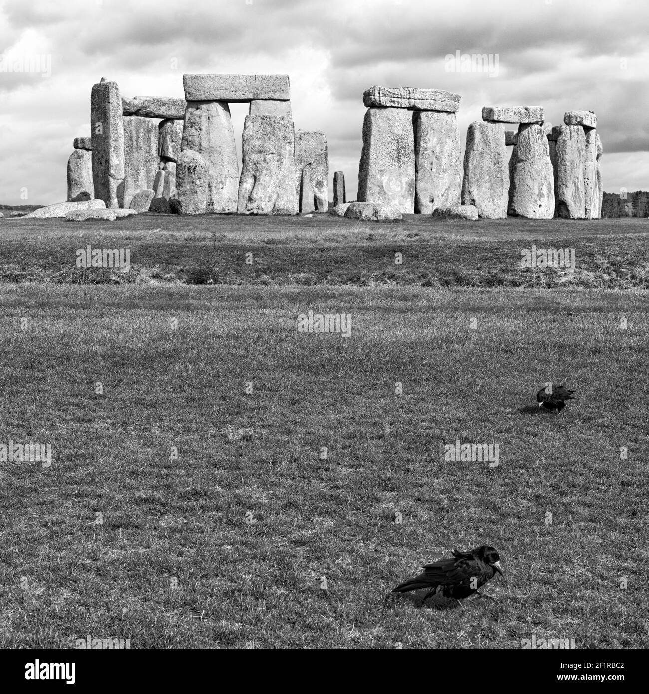 Une photo en niveaux de gris du Stonehenge Banque D'Images Une photo en niveaux de gris du Stonehenge Banque D'Images