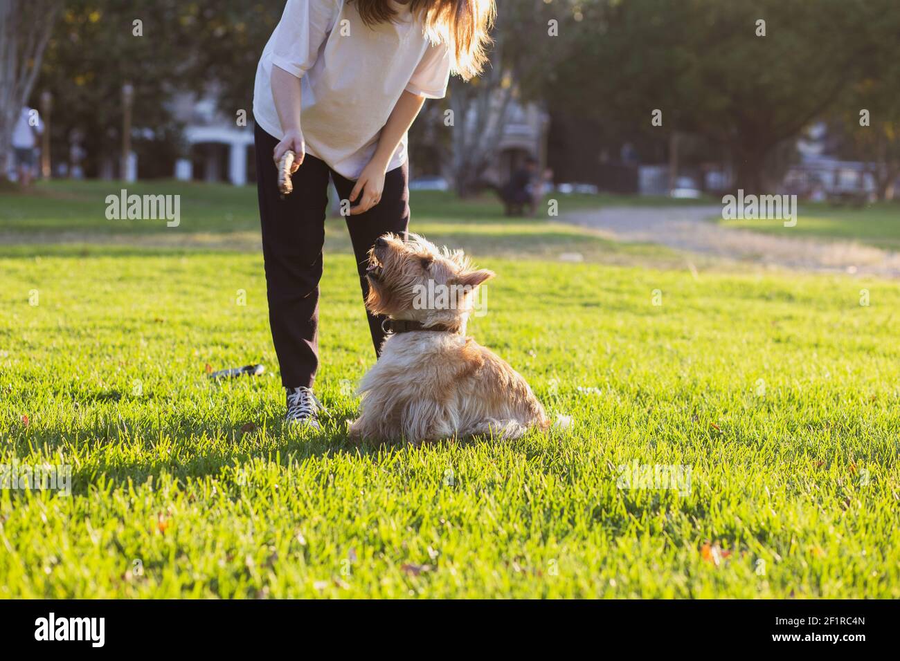 Une fille joue avec son chien dans un Buenos Aires parc de la ville Banque D'Images