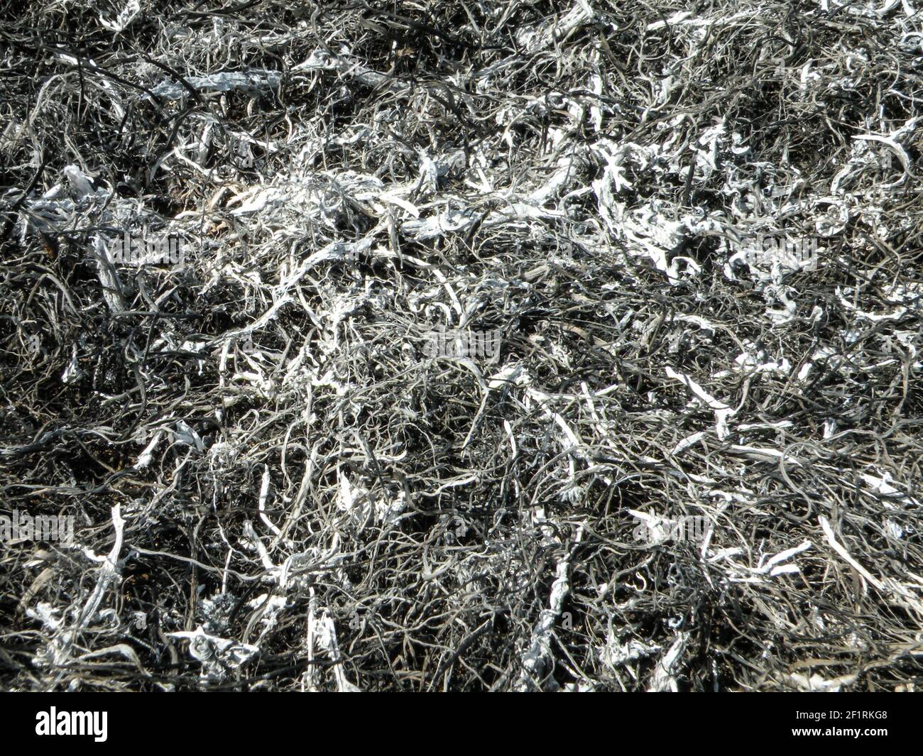 Arrière-plan des cendres de l'herbe brûlée. Plantez des cendres sur le champ après que le feu a brûlé. Texture d'arrière-plan abstraite Banque D'Images