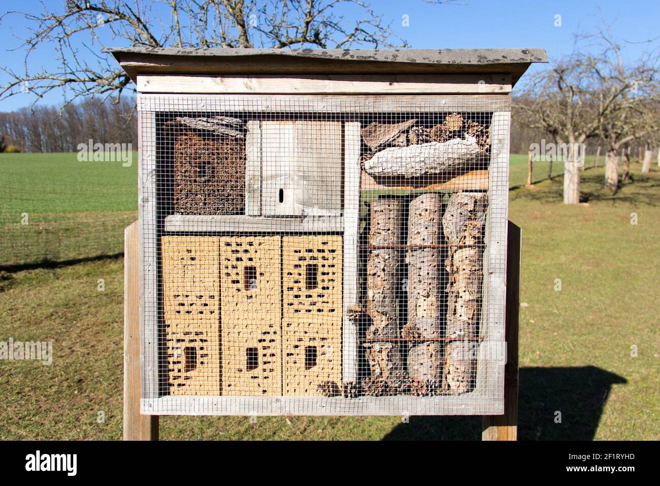 Insecte hôtel. Maison pour insectes. Gros plan d'un hôtel de maisons d'insectes en bois et en briques. Banque D'Images