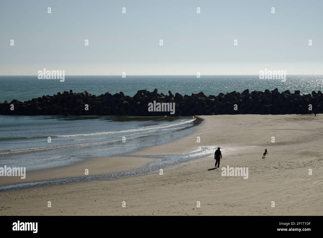 Homme, chien et une balle sur une plage avec la mer et les rochers, Banque D'Images
