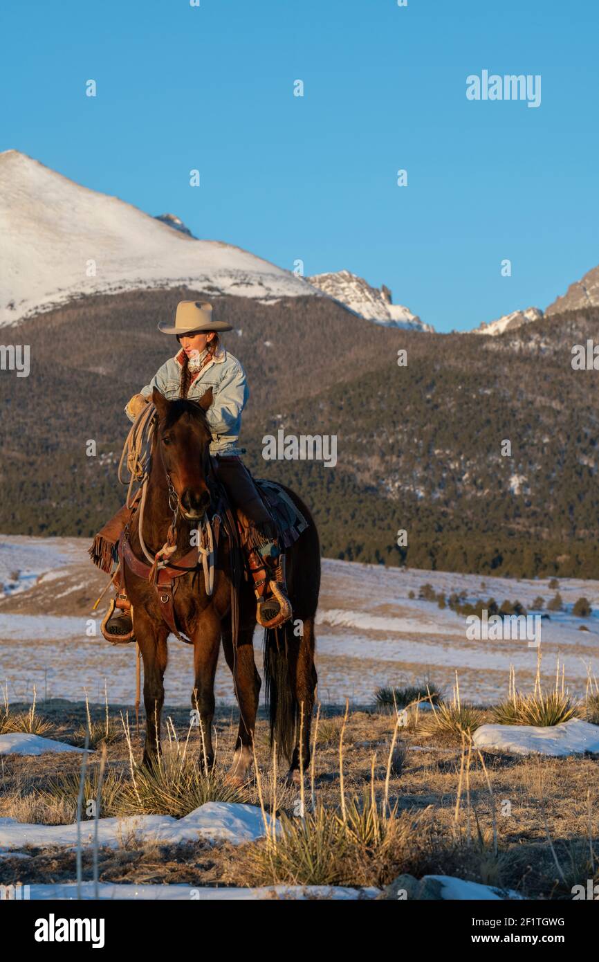 États-Unis, Colorado, Westcliffe, Music Meadows Ranch. Main de ranch femelle dans un ranch typique de l'ouest tenue sur cheval de baie en hiver. Modèle validé. Banque D'Images