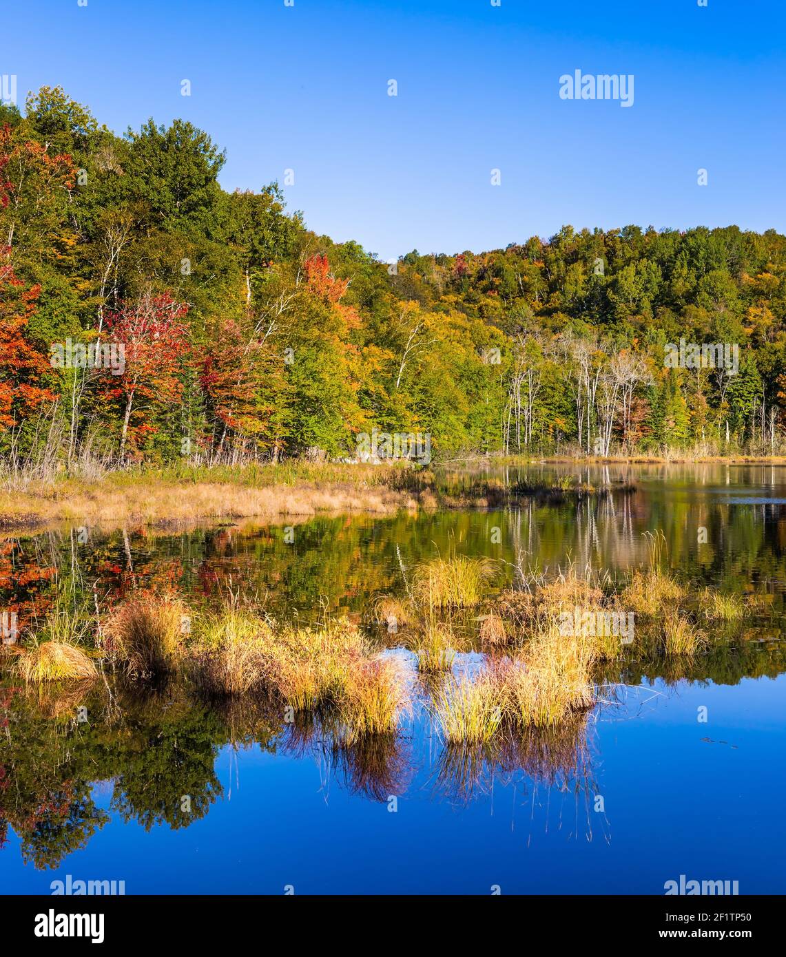 Resort au Canada français - Mont Tremblant Banque D'Images