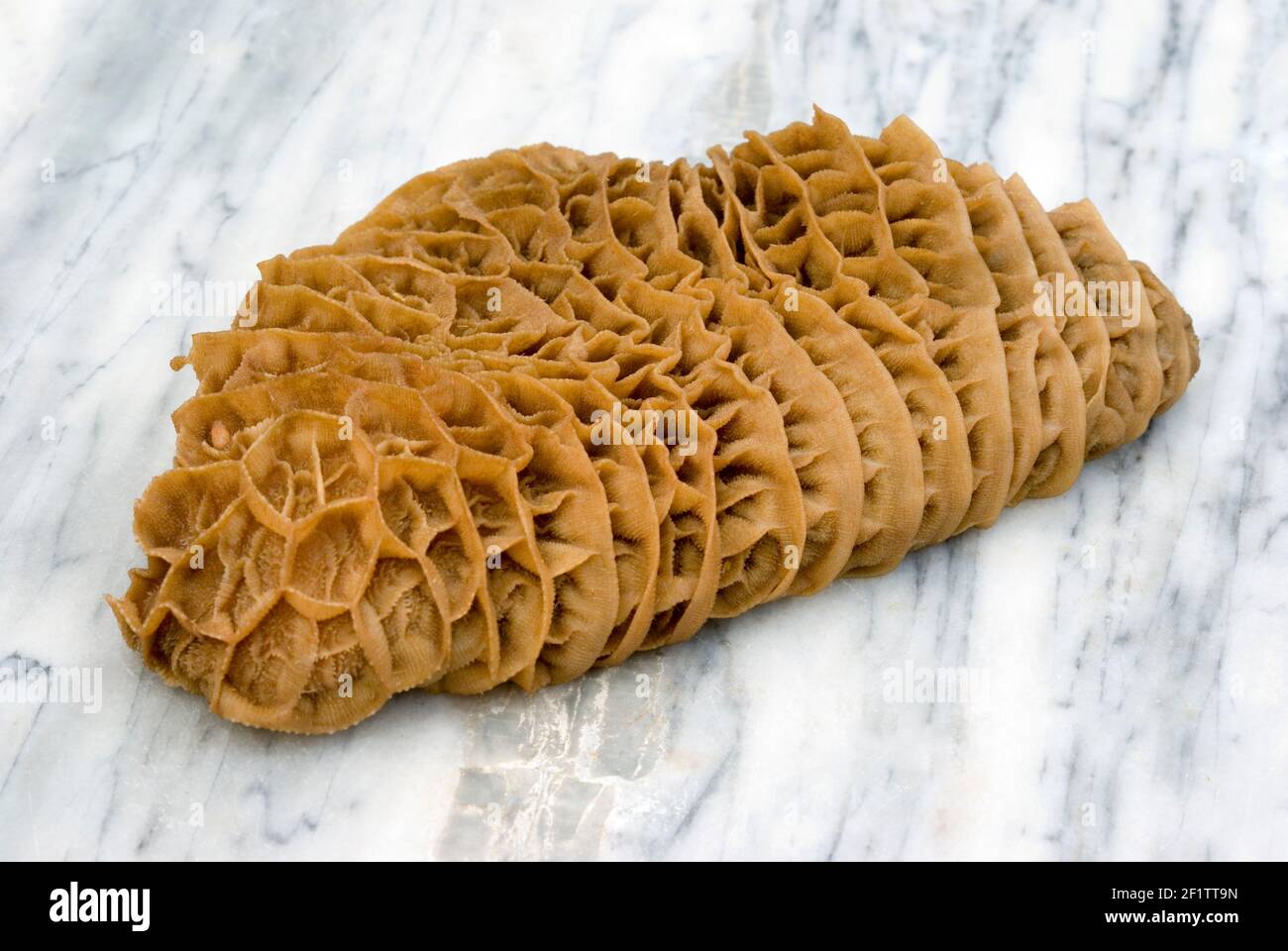 Tripe vert brut Banque D'Images