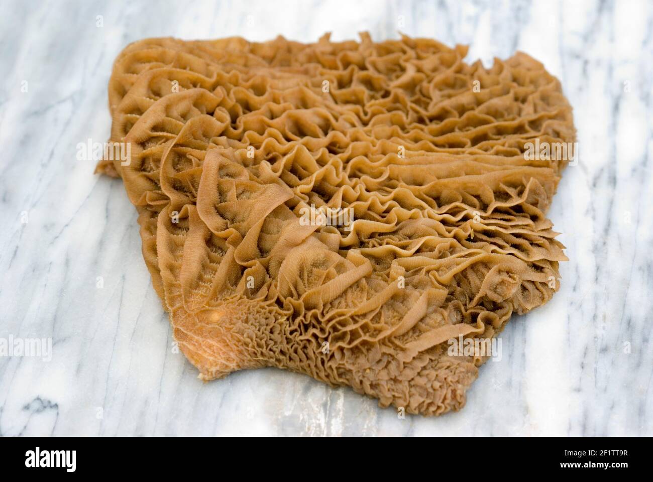 Tripe vert brut Banque D'Images