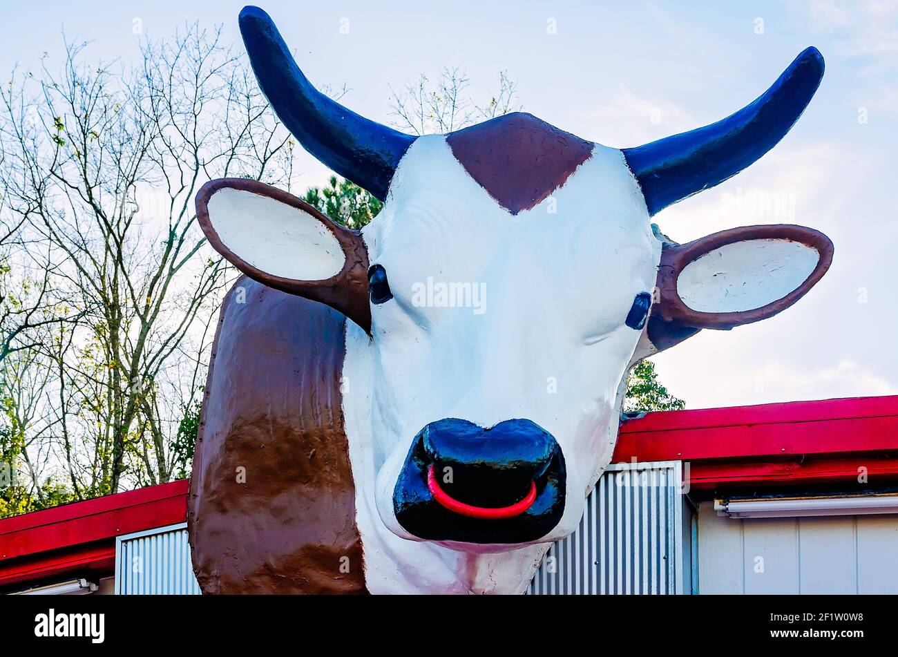 Une statue géante à tête de taureau est montée au-dessus de Bama Bob’s BBQ, le 7 mars 2021, à Mobile, Alabama. Le restaurant sert un barbecue et d'autres plats. Banque D'Images