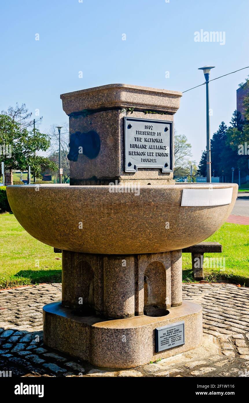 Une gouttière de 1907, présentée par la National Humane Alliance, est photographiée, le 6 mars 2021, dans Mobile, Alabama. Banque D'Images