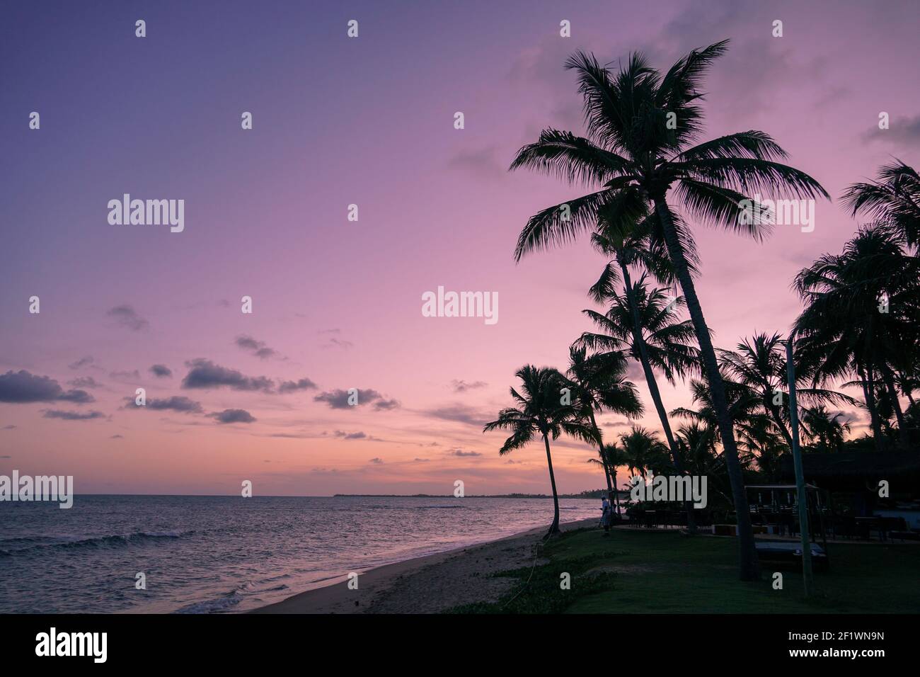 Des silhouettes de palmiers sur la plage tropicale au coucher du soleil coloré. Banque D'Images