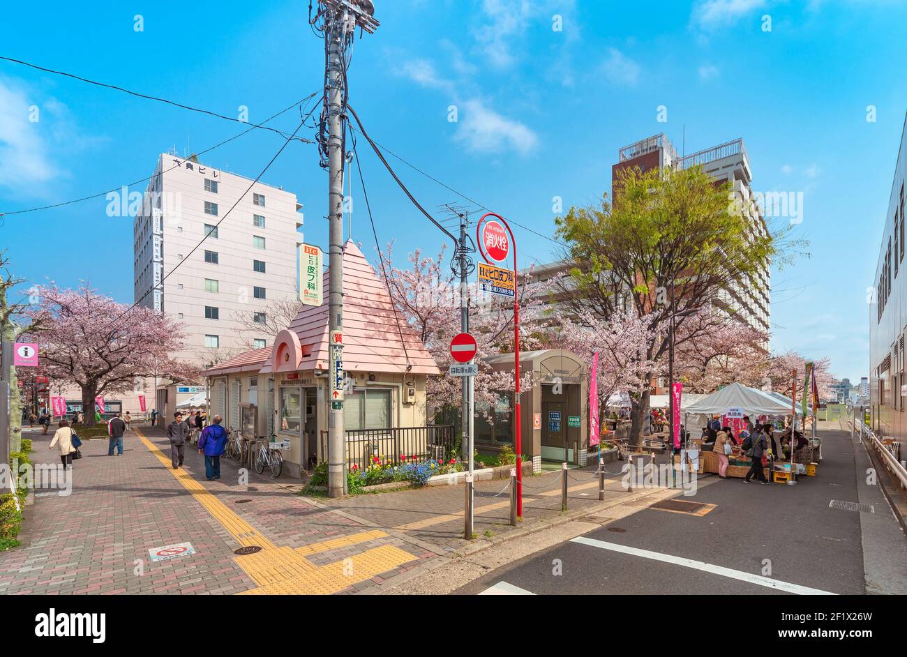 tokyo, japon - avril 07 2020 : petit poste de police japonais de quartier nommé Koban devant le parc commémoratif Someiyoshino Sakura avec Cherry Blo Banque D'Images