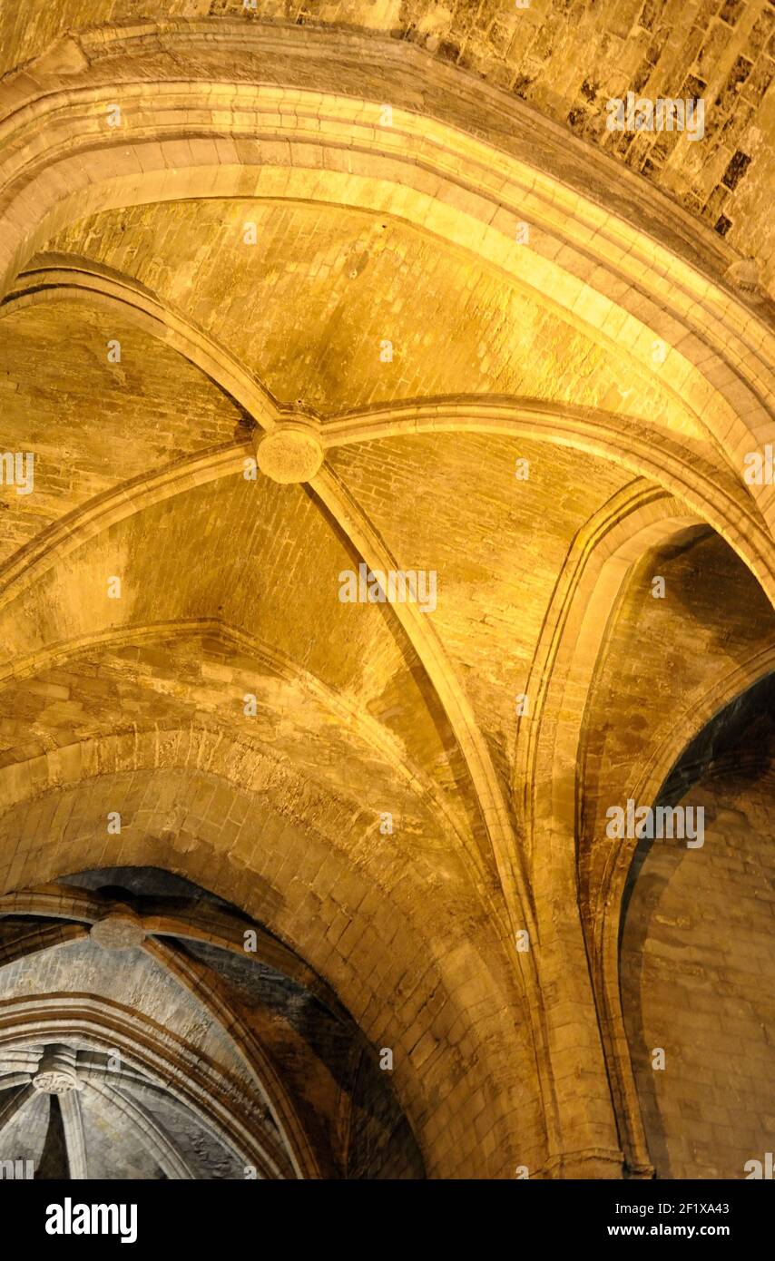 Le plafond voûté en pierre de l'Abbaye St-Victor, Marseille, Bouches-du-Rhône, Provence-Alpes-Côte d'Azur, France Banque D'Images