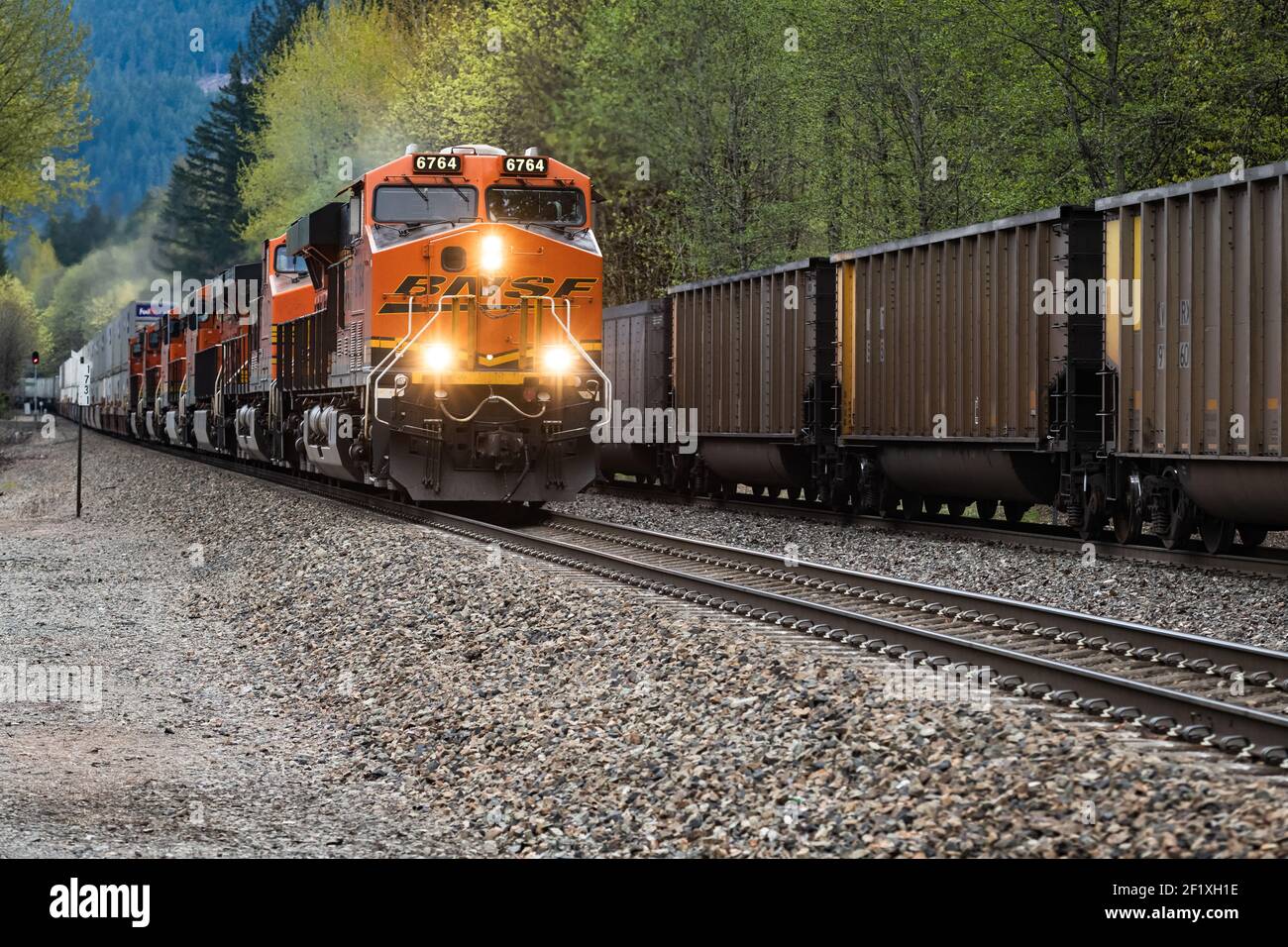 Un train de marchandises BNSF derrière six locomotives s'approche de Skykomish Washington avec trois phares brillants Banque D'Images