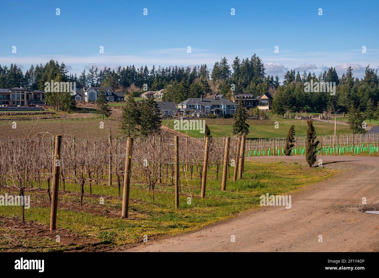 Le manoir abrite des champs de vignes de la vallée de Willamette, dans la campagne de l'Oregon. Banque D'Images