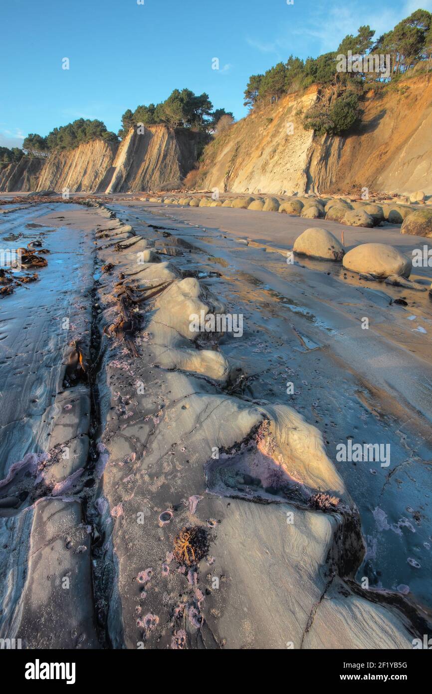 Bowling Ball plage au coucher du soleil, dans le comté de Mendocino, en Californie Banque D'Images