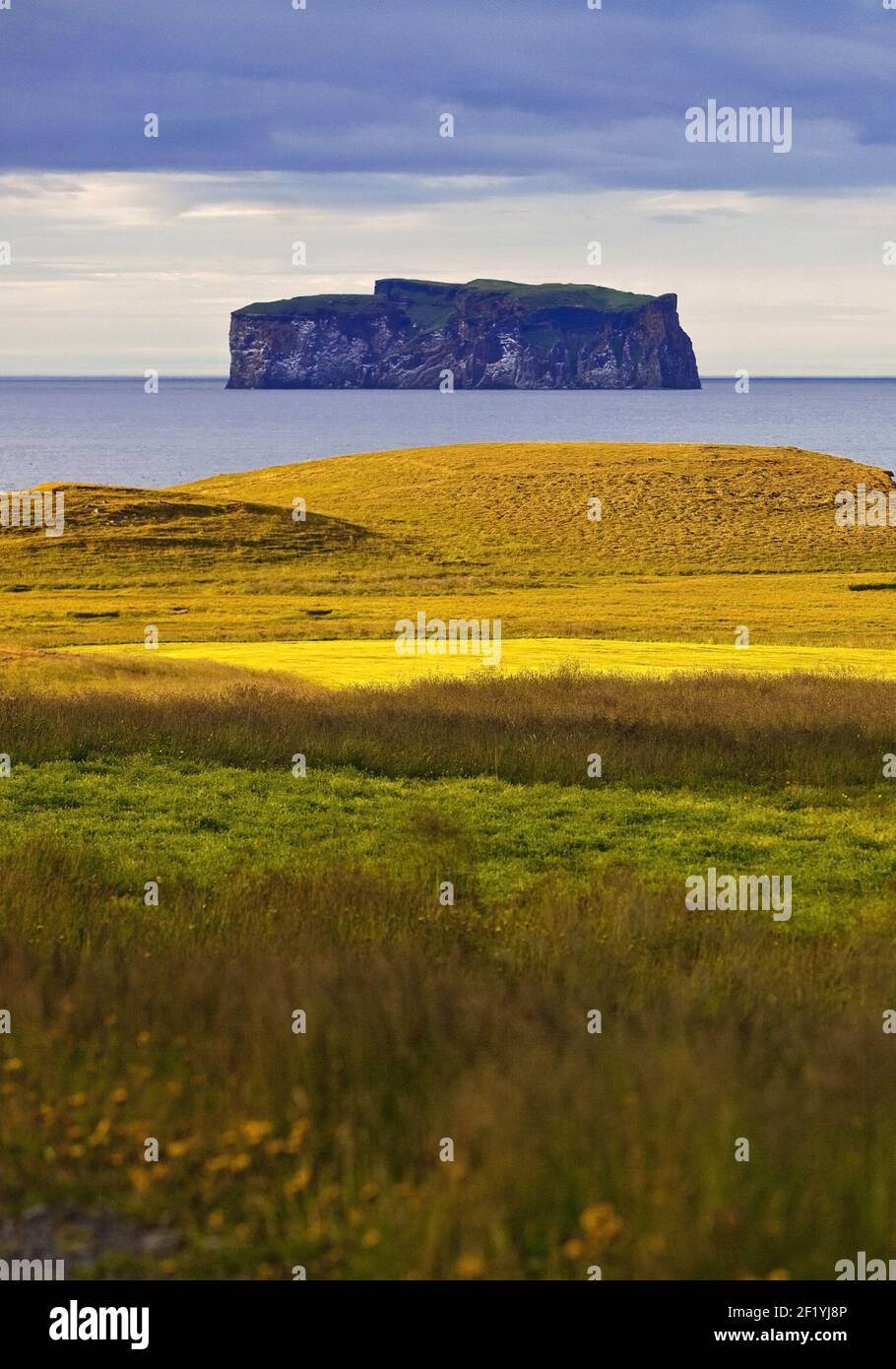 Ile de Drangey à Skagafjoerdur, Islande, Europe Banque D'Images
