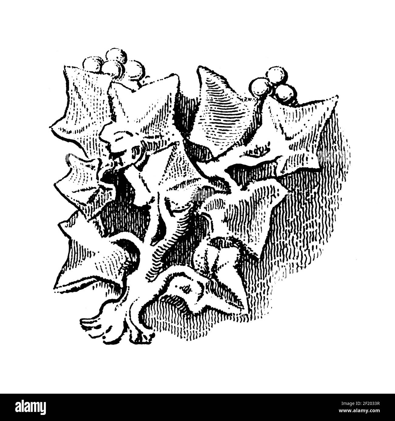 Illustration antique du XIXe siècle de détails de la capitale de Freiburg Minster. Publié dans Systematischer Bilder-Atlas zum conversations-Lexikon, Ikon Banque D'Images