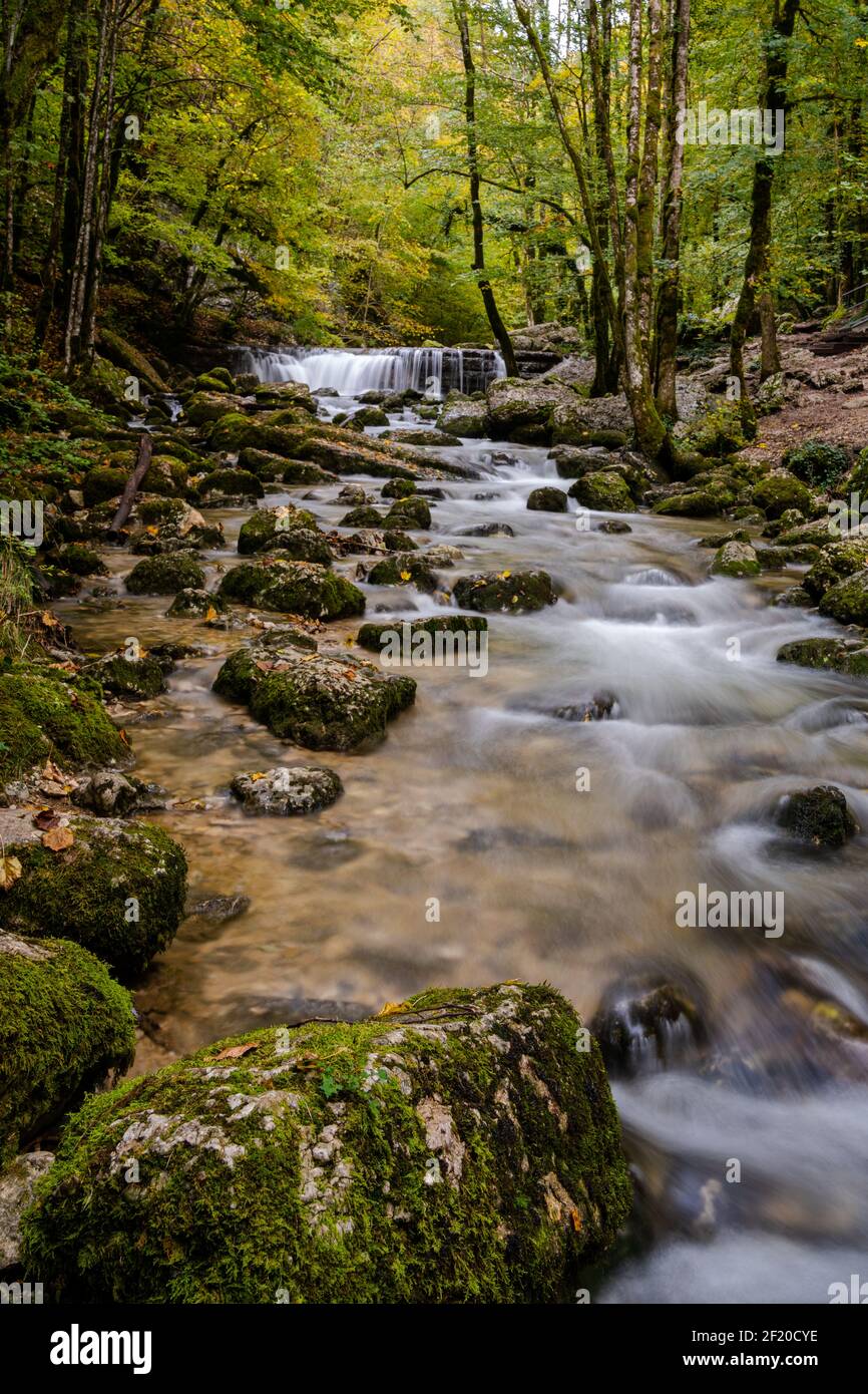 Magnifique ruisseau de montagne avec petite chute d'eau dans le paysage de forêt d'automne Banque D'Images Magnifique ruisseau de montagne avec petite chute d'eau dans le paysage de forêt d'automne Banque D'Images