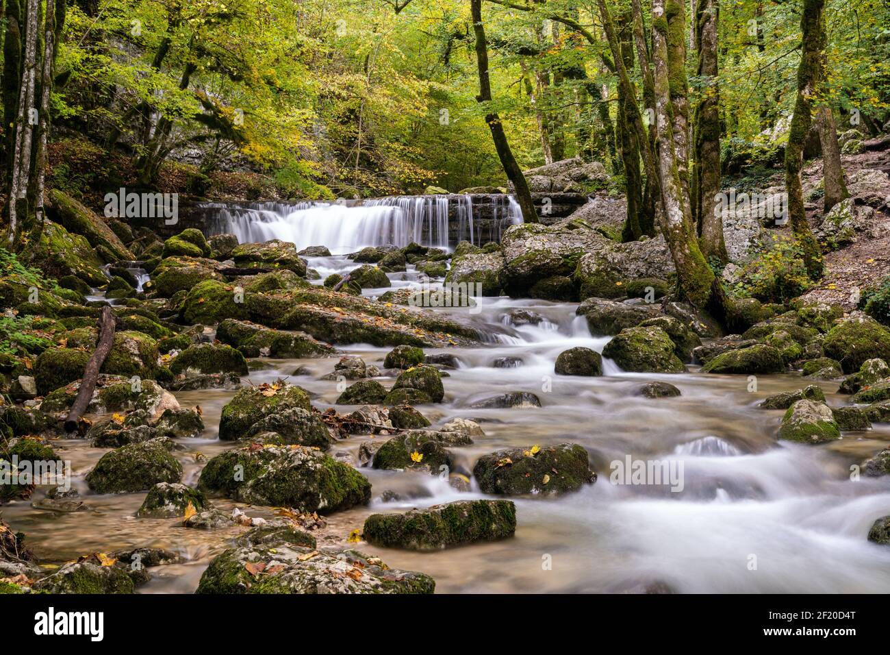Un beau ruisseau de montagne avec une petite cascade dans la forêt d'automne paysage Banque D'Images Un beau ruisseau de montagne avec une petite cascade dans la forêt d'automne paysage Banque D'Images