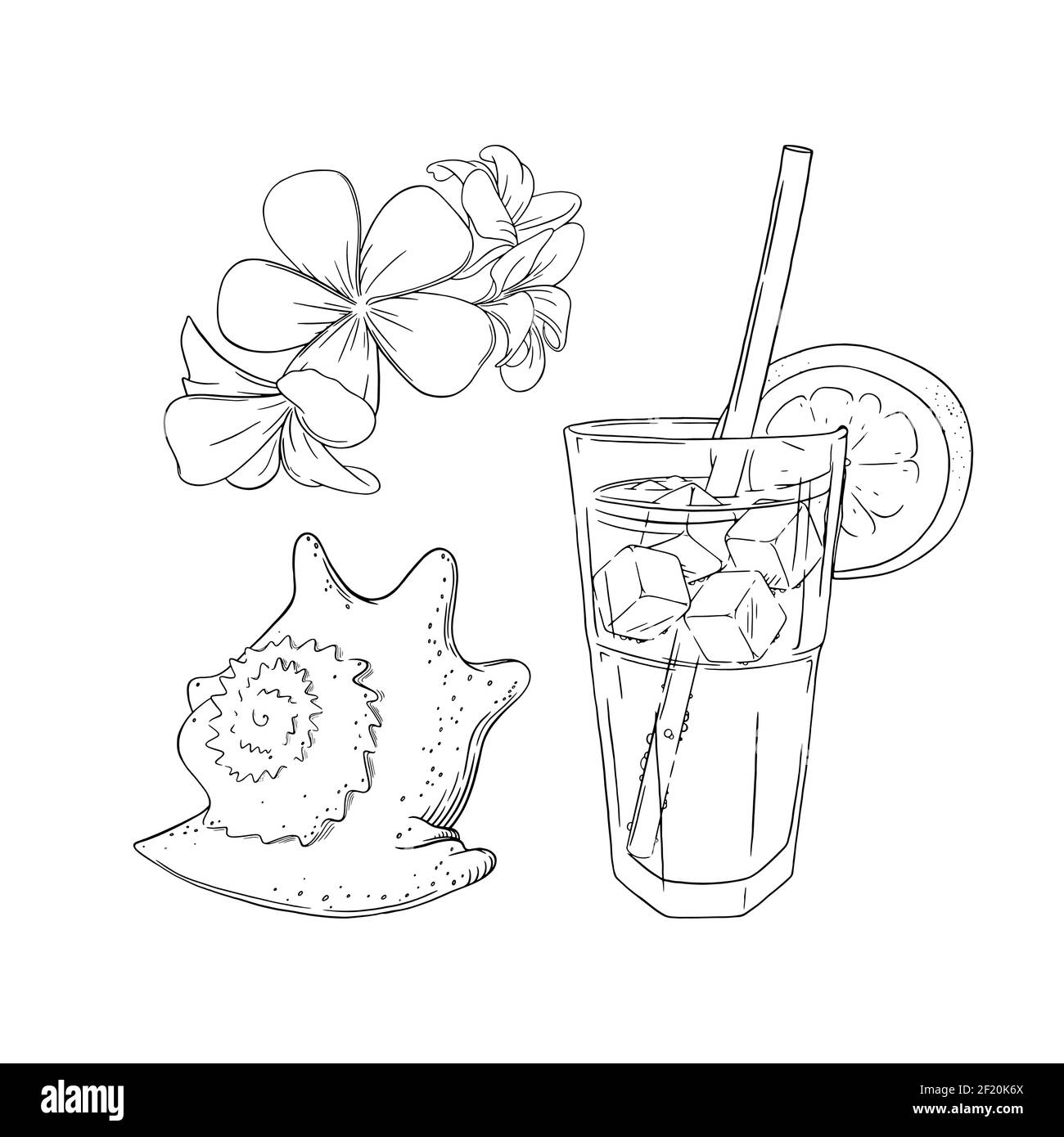 Spa tropical. Vacances dans un pays tropical avec cocktails, fleurs et mer dans un décor isolé sur fond blanc. Illustration vectorielle Illustration de Vecteur
