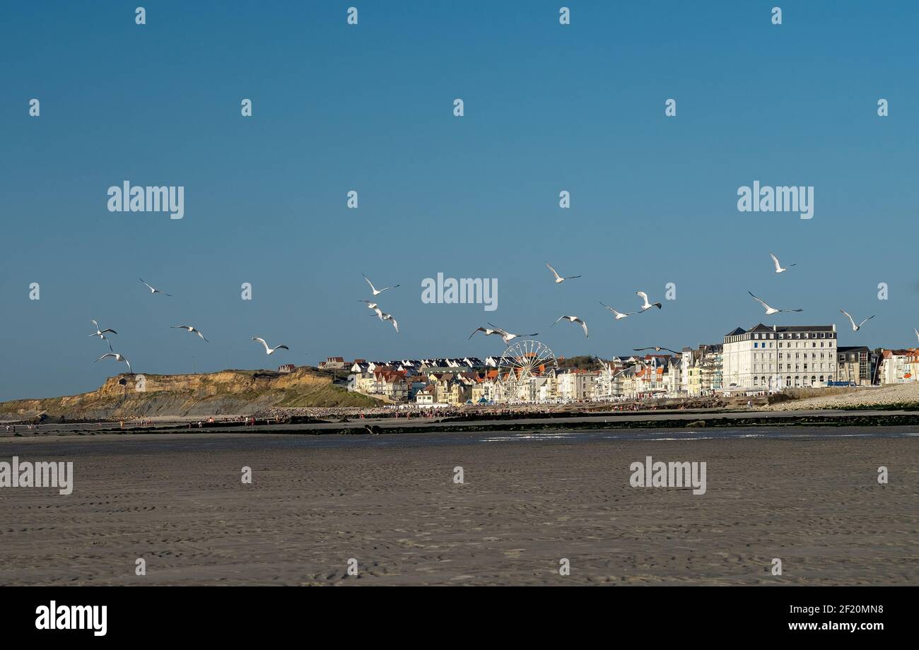 Des mouettes survolant la plage de Wimereux le long de la côte française des opales. Banque D'Images