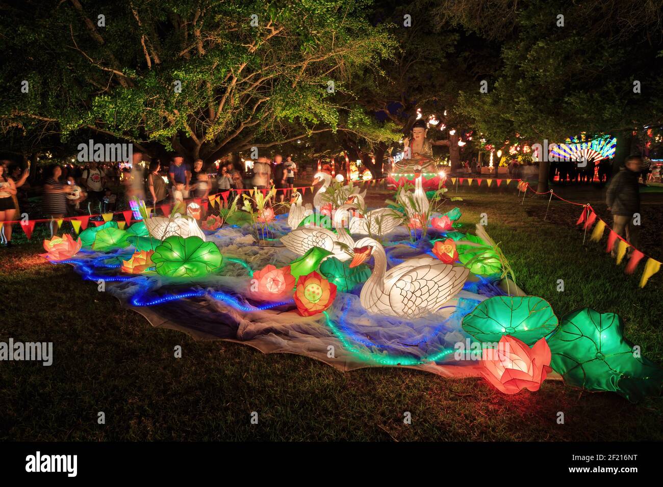 De magnifiques lanternes chinoises en forme de cygne et de nénuphar sont exposées pendant le nouvel an chinois. Domaine d'Auckland, Auckland, Nouvelle-Zélande Banque D'Images