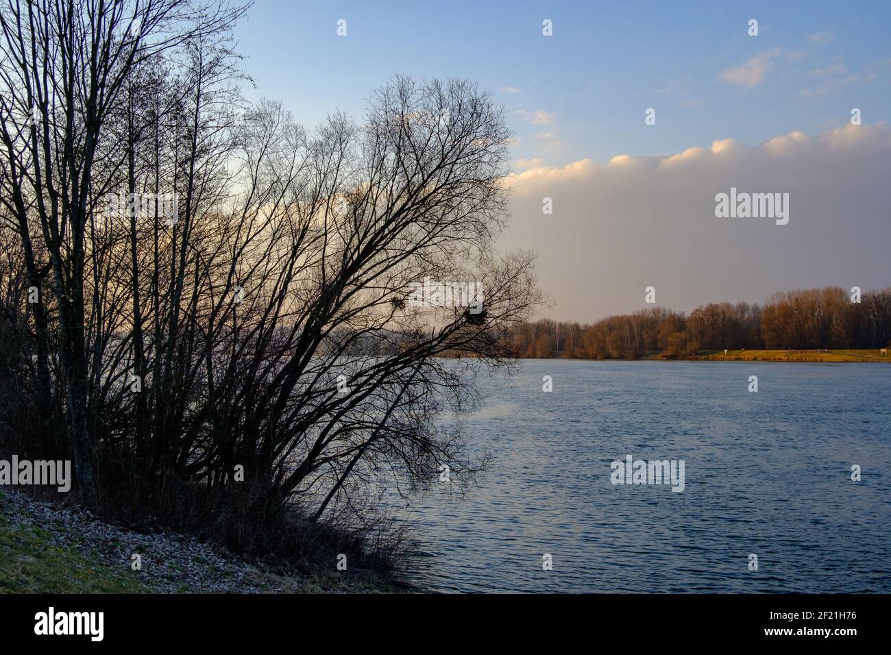 danube en haute-autriche dans la lumière du soir Banque D'Images