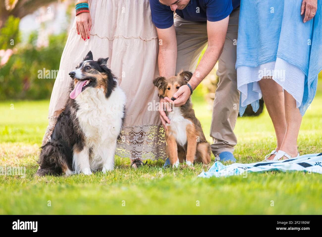 Portrait de chiens et de personnes humaines en famille lors d'activités de loisirs en plein air ensemble au parc Banque D'Images