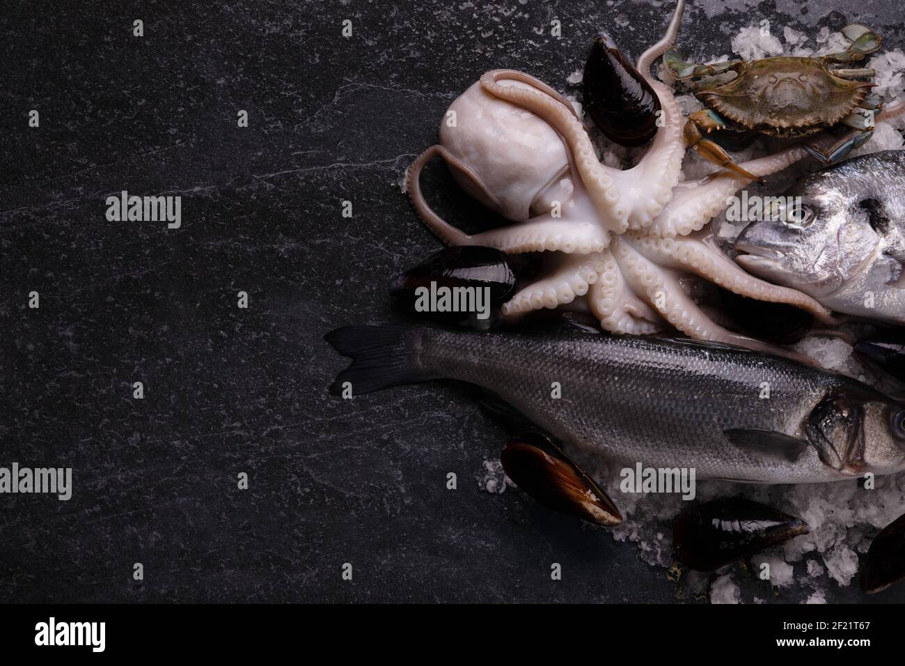 assortiment de fruits de mer crus sur une table en marbre, image maquette avec espace pour le texte Banque D'Images assortiment de fruits de mer crus sur une table en marbre, image maquette avec espace pour le texte Banque D'Images