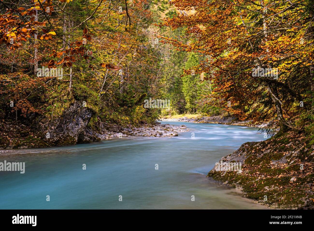 Humeur d'automne Banque D'Images