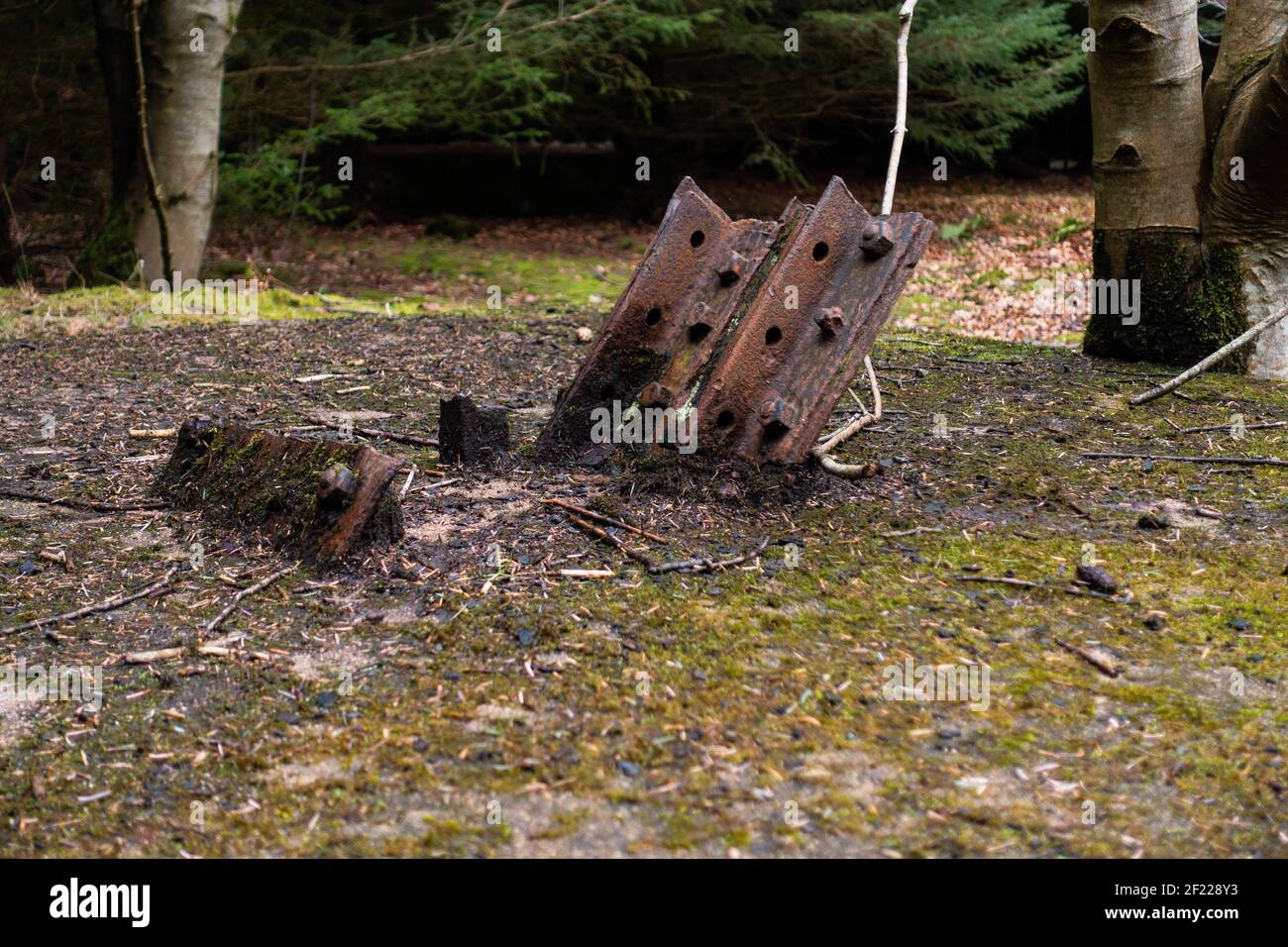 D'anciens navires en béton amarrés sur le site de la base navale de Longside, construite en 1915, à Lenabo Woods près de Longside, Aberdeenshire, Écosse Banque D'Images