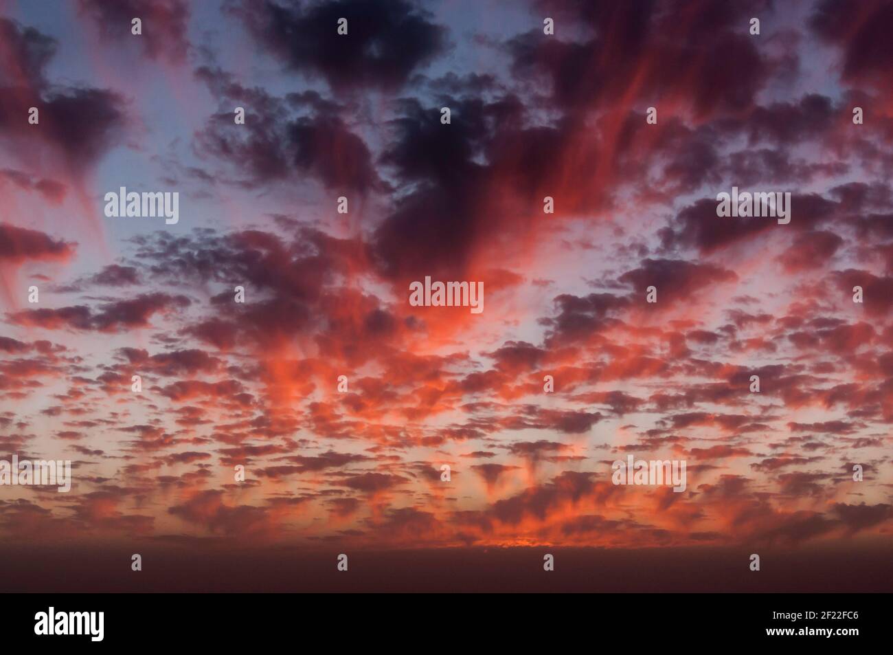Vue fantastique d'un ciel du soir dans différentes nuances de rouge et de nombreux petits nuages Banque D'Images
