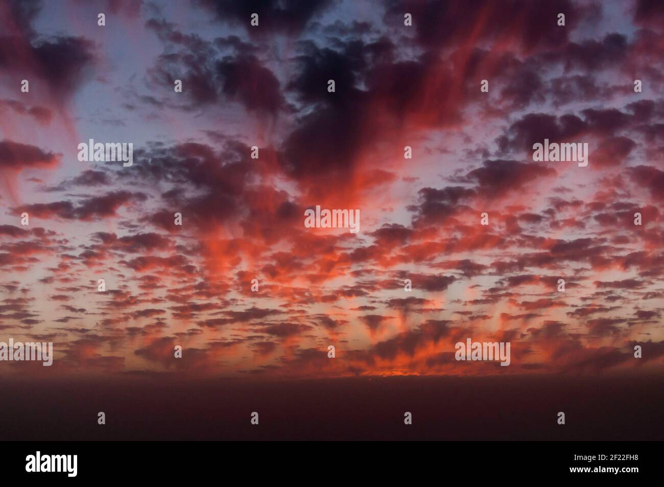 Vue fantastique d'un ciel du soir dans différentes nuances de rouge et de nombreux petits nuages Banque D'Images