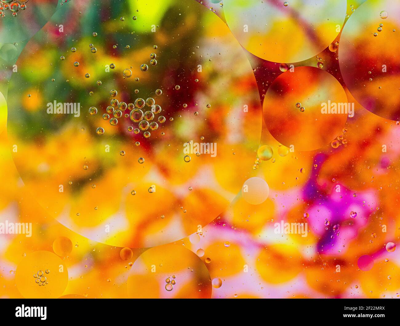 Bulles sur fond coloré, bulles d'huile sur fond orange, jaune, rose, vert, savon et huile, bulles d'huile dans l'eau avec fond coloré Banque D'Images