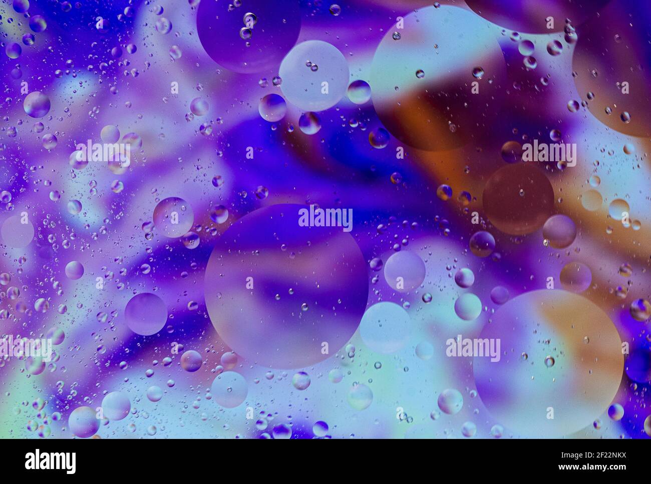 Bulles sur fond coloré, bulles d'huile sur fond violet, orange, bleu, savon et huile, bulles d'huile dans l'eau avec fond coloré Banque D'Images