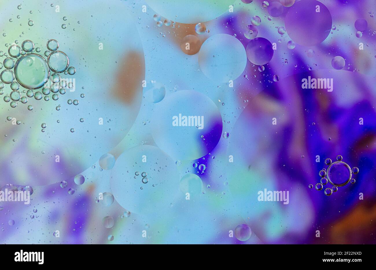 Bulles sur fond coloré, bulles d'huile sur fond violet, orange, bleu, savon et huile, bulles d'huile dans l'eau avec fond coloré Banque D'Images