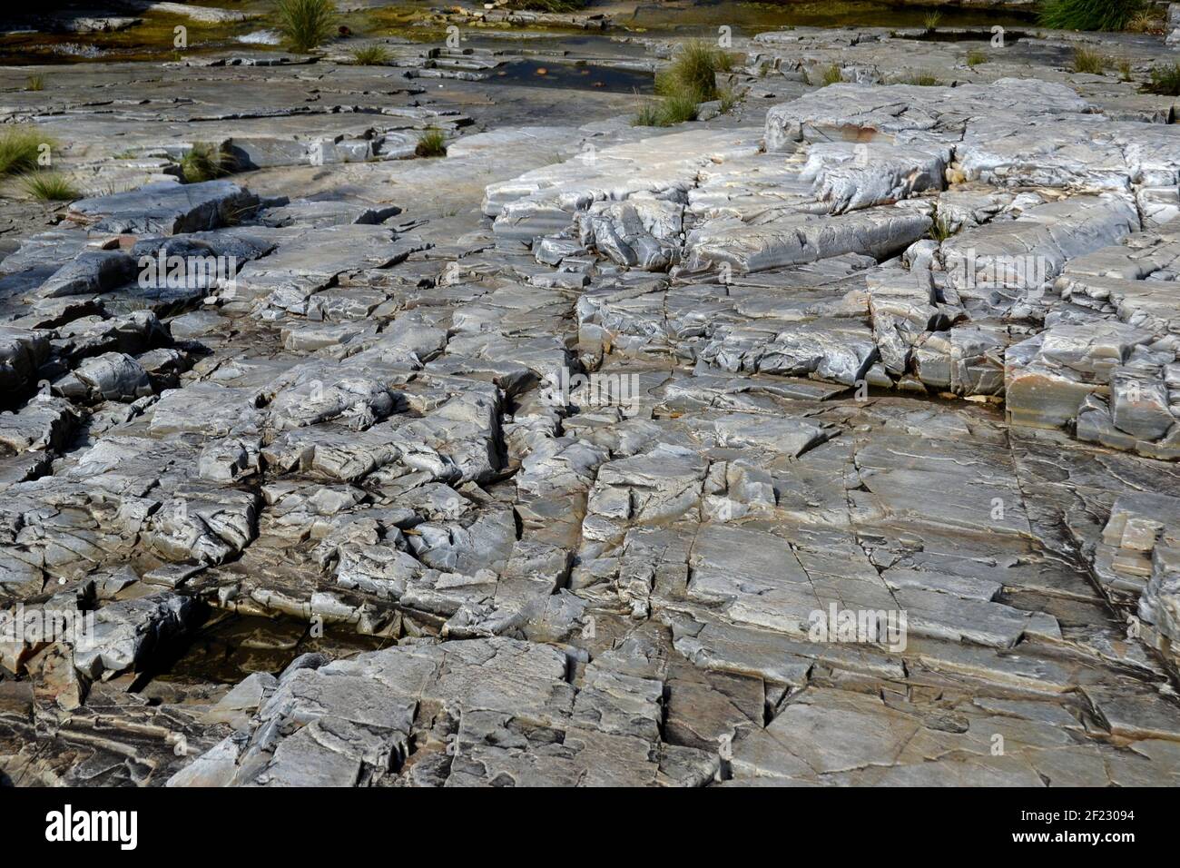 Rivière sèche, rivière d'eau douce en saison sèche au Brésil, site touristique dans le parc national, avec végétation verte sur les rives, Brésil, Amérique du Sud, panora Banque D'Images