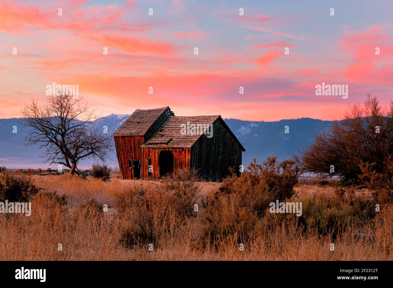 Ancienne grange agricole abandonnée dans le comté rural de Lassen, Californie, États-Unis. Prises dans la lumière du matin en hiver avec des nuages pastel. Banque D'Images