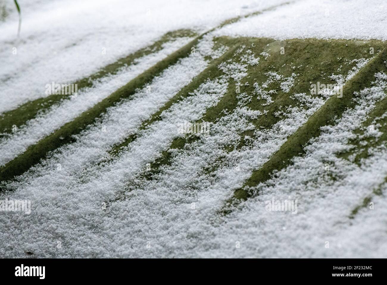 Neige tombée causant des crêtes vertes et des ondulations sur un vert toit Banque D'Images