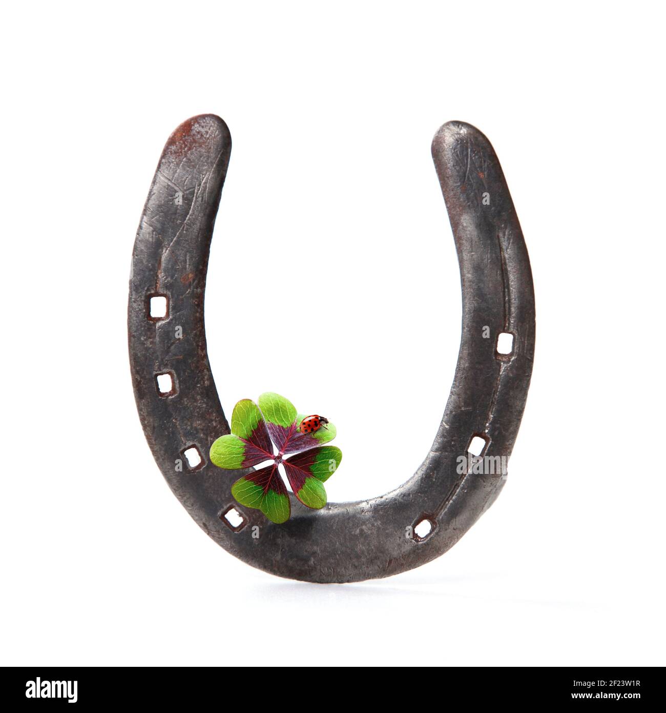 Fer à cheval avec trèfle chanceux sur fond blanc Banque D'Images
