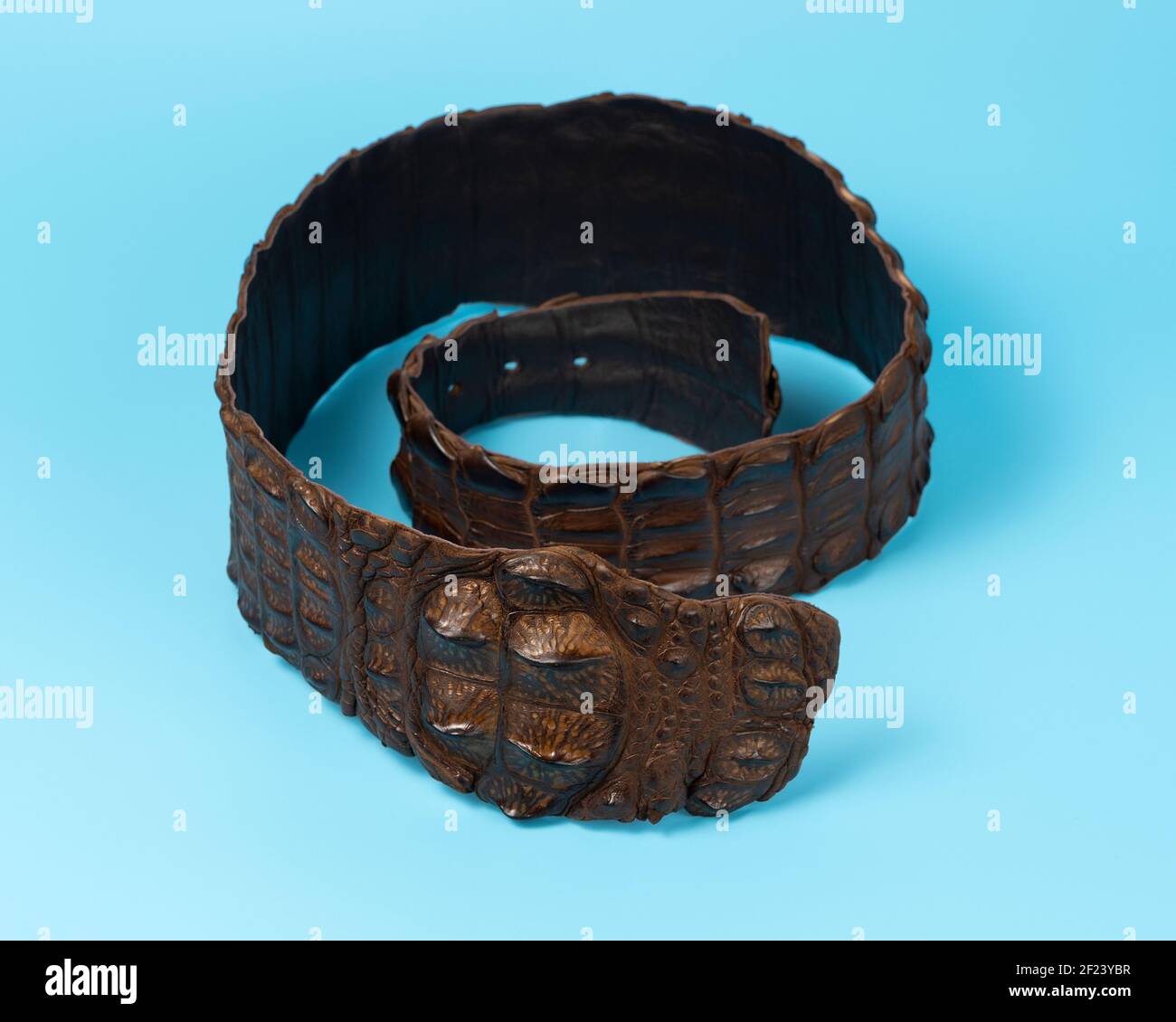 Ceinture en cuir crocodile sur fond bleu. Concept de mode minimal. Banque D'Images