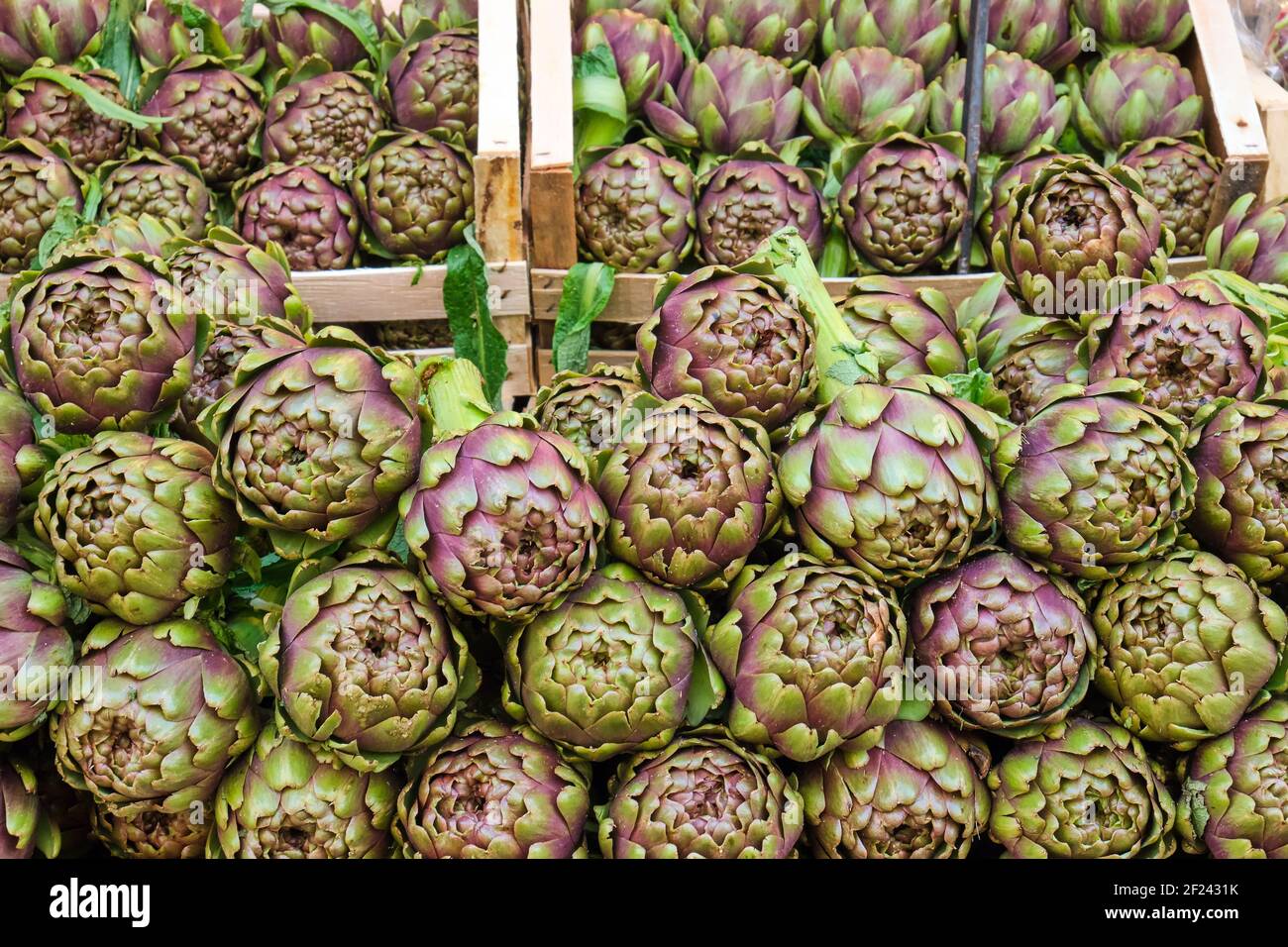 Artichauts frais à vendre sur un marché Banque D'Images