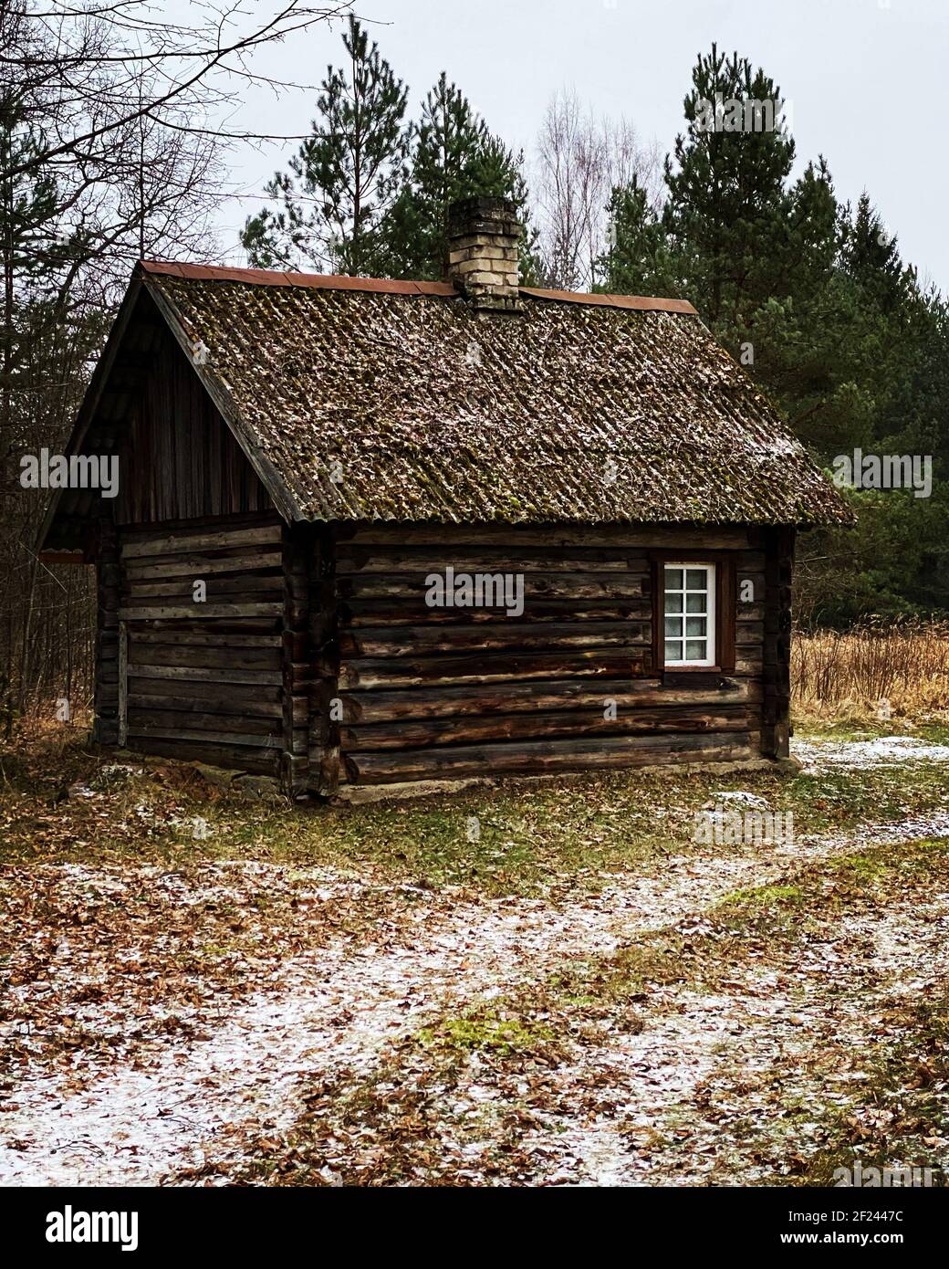 Sauna en bois maison en bois dans les bois en hiver. Bois brun distinctement. Des feuilles d'automne orange et un peu de neige sur la route sont visibles sur la route. Banque D'Images