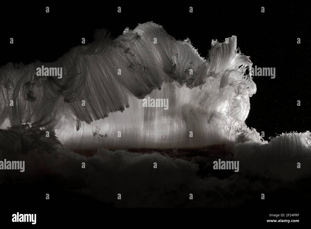 Glace sur une petite branche Banque D'Images