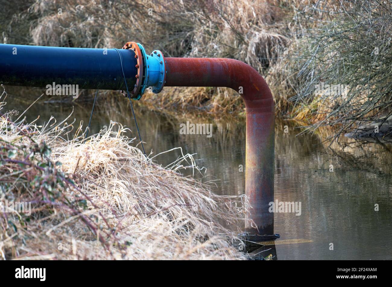 Tuyau d'irrigation pour les champs de canneberges. Banque D'Images