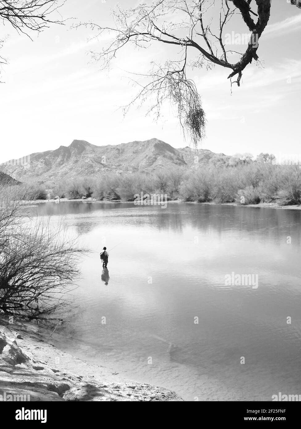 Scènes le long de la rivière Salt, dans la région de Phon D Sutton, dans la forêt nationale de Tonto, près de Mesa, en Arizona. Les images en noir et blanc capturent les étoiles Banque D'Images