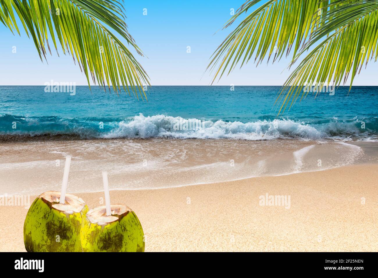 Boissons à la noix de coco sur la plage tropicale avec palmiers en balançant. Banque D'Images