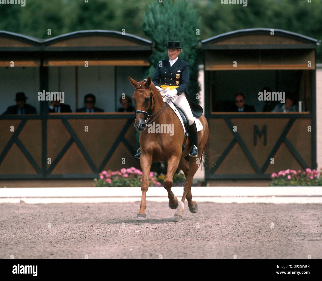CHIO Aachen 1992 , Heike Kemmer (GER) équitation Golo Banque D'Images