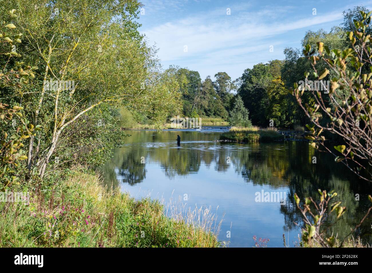 Pêcheur (non reconnaissable) dans la rivière Teviot, en Écosse Banque D'Images